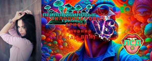 2c-b Богородск