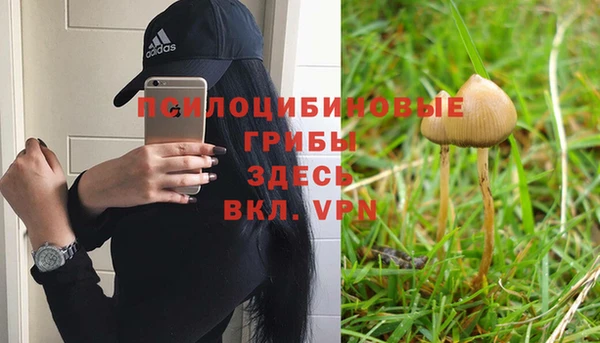2c-b Богородск