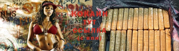 прущий лед Богданович