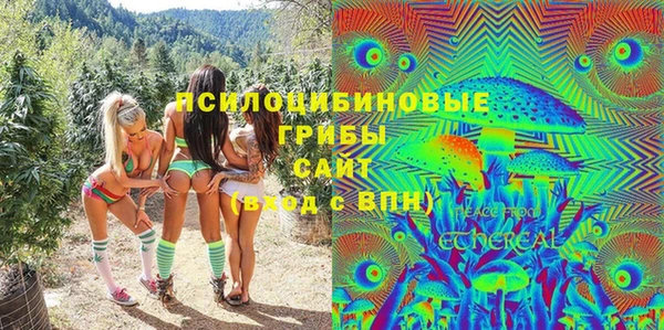 прущие грибы Белокуриха