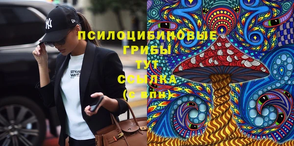 винт Бородино