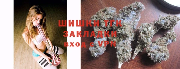 крисы Дегтярск
